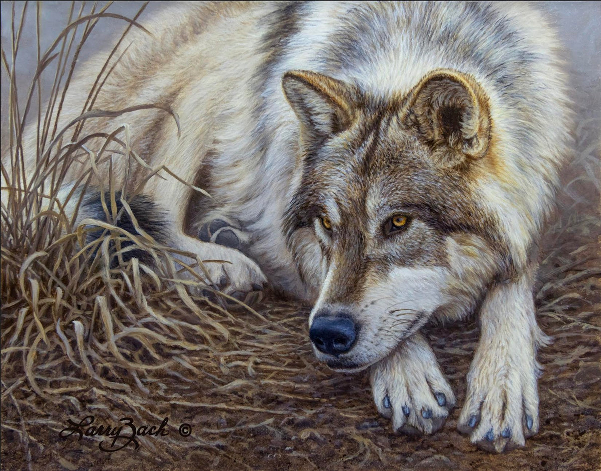 New Release Paintings by Wildlife Artist Larry Zach Larry Zach
