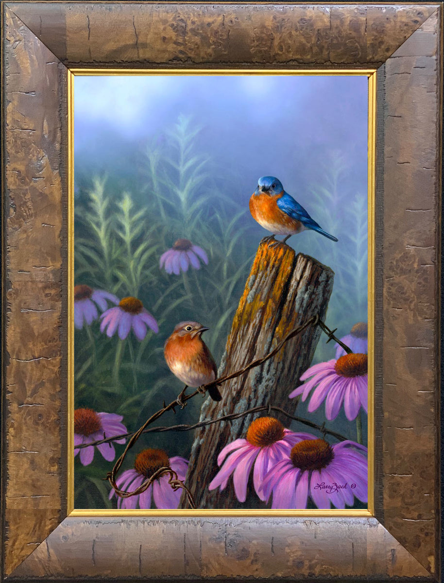［bluebird］絵画　油絵　※値段交渉あり Bluebirds and Purple Coneflower – Larry Zach Wildlife Art