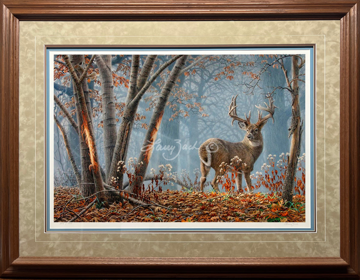 Broken Solitude - Whitetail – Larry Zach Wildlife Art