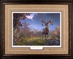 Limited EditionClassic PaperFraming 17A