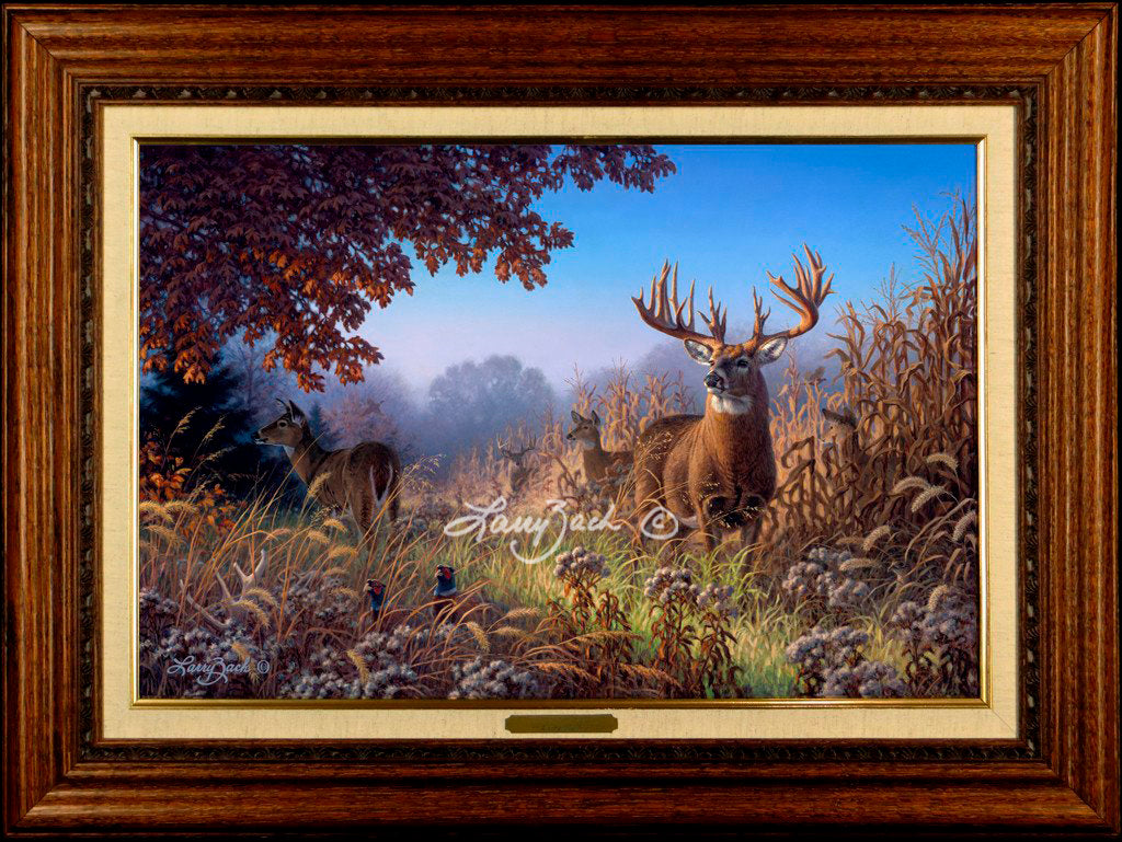 Limited Edition Classic Canvas Framing B
