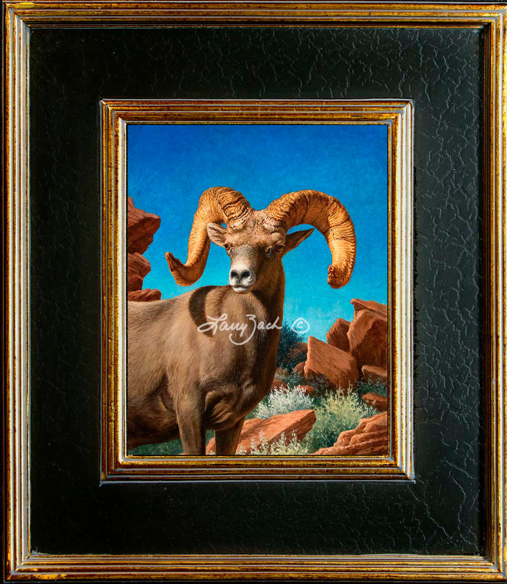 Desert Bighorn Ram – Larry Zach Wildlife Art