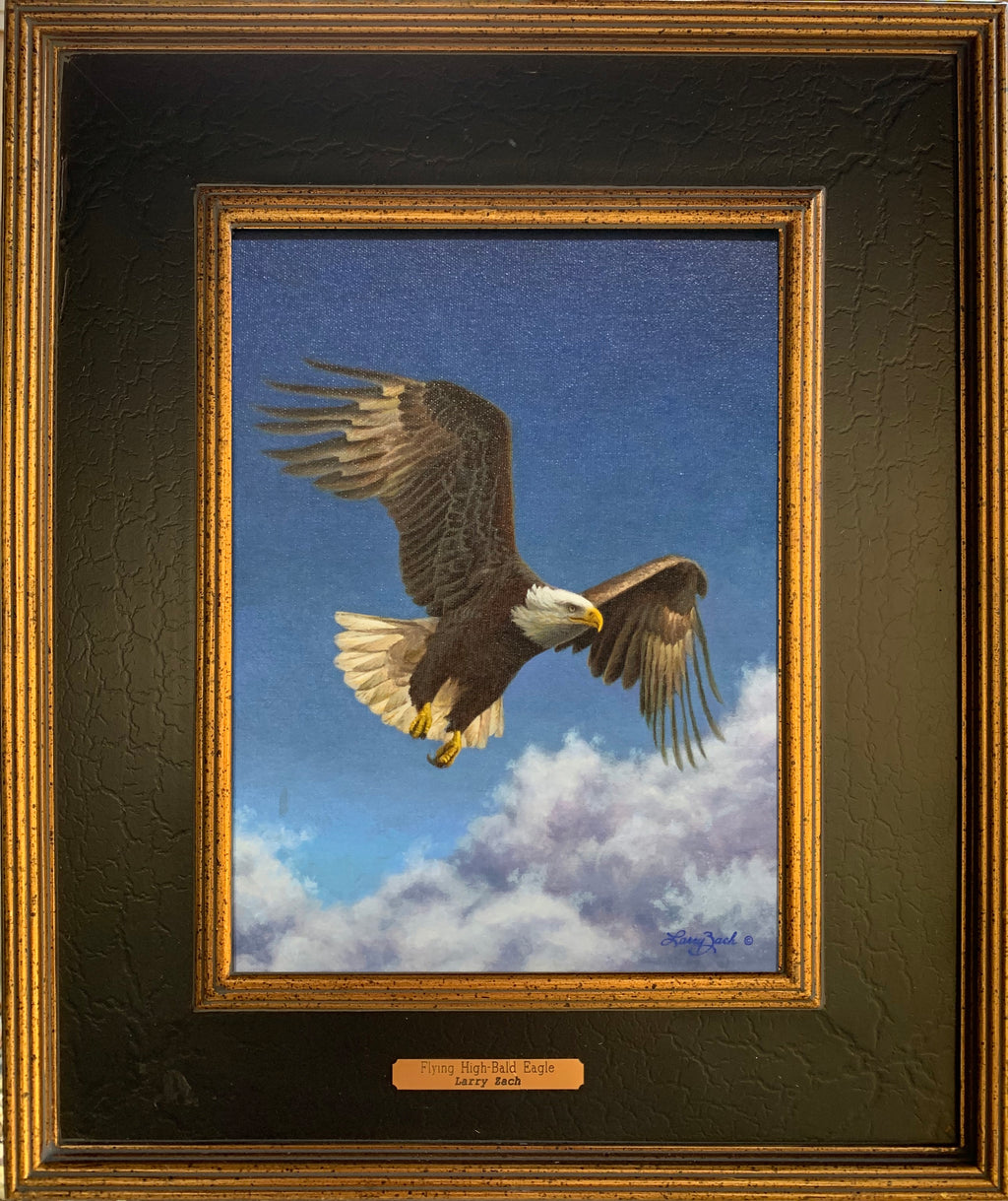 Flying High – Bald Eagle (Original)