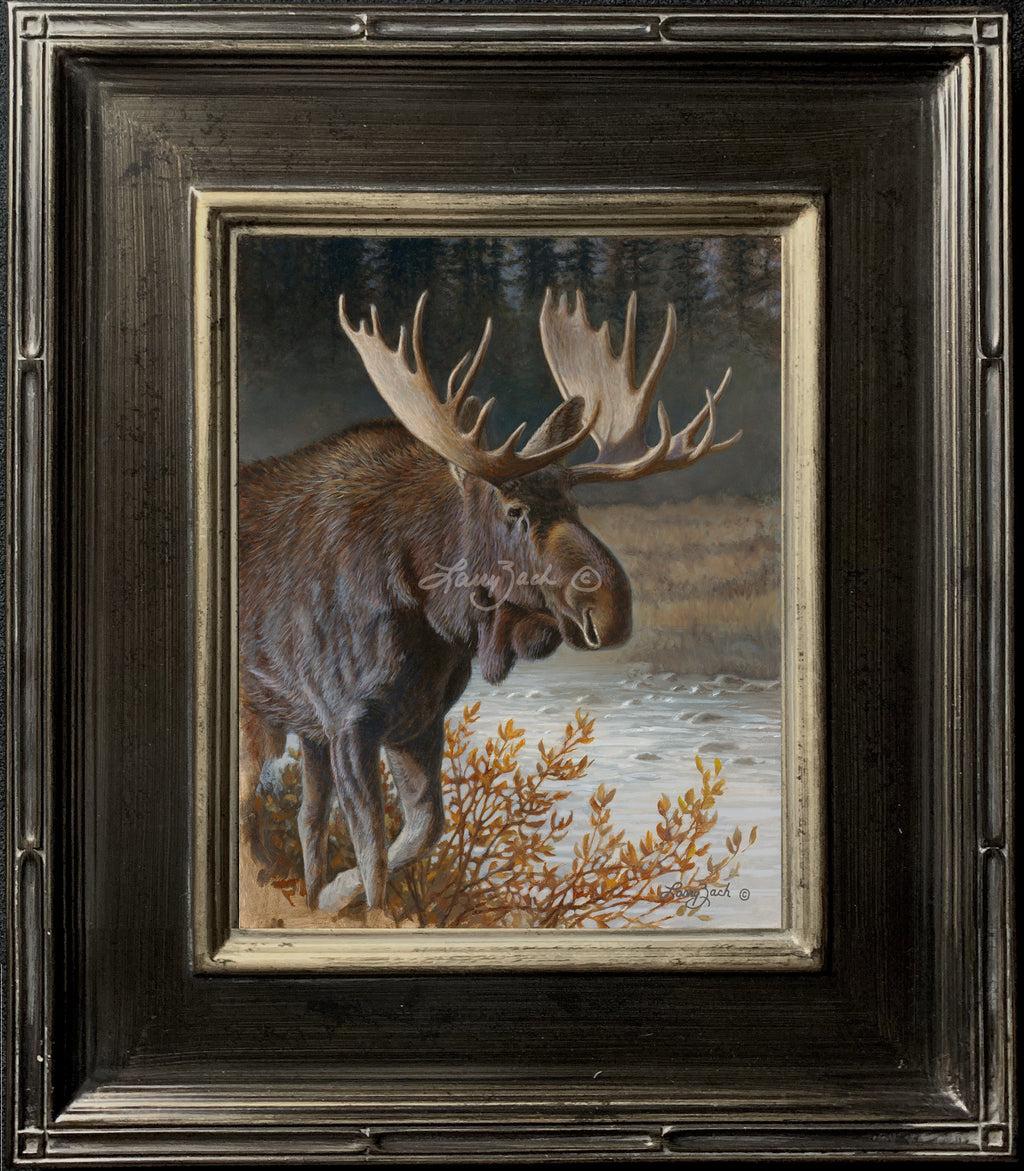 Portraits in Gray – Bull Moose – Original