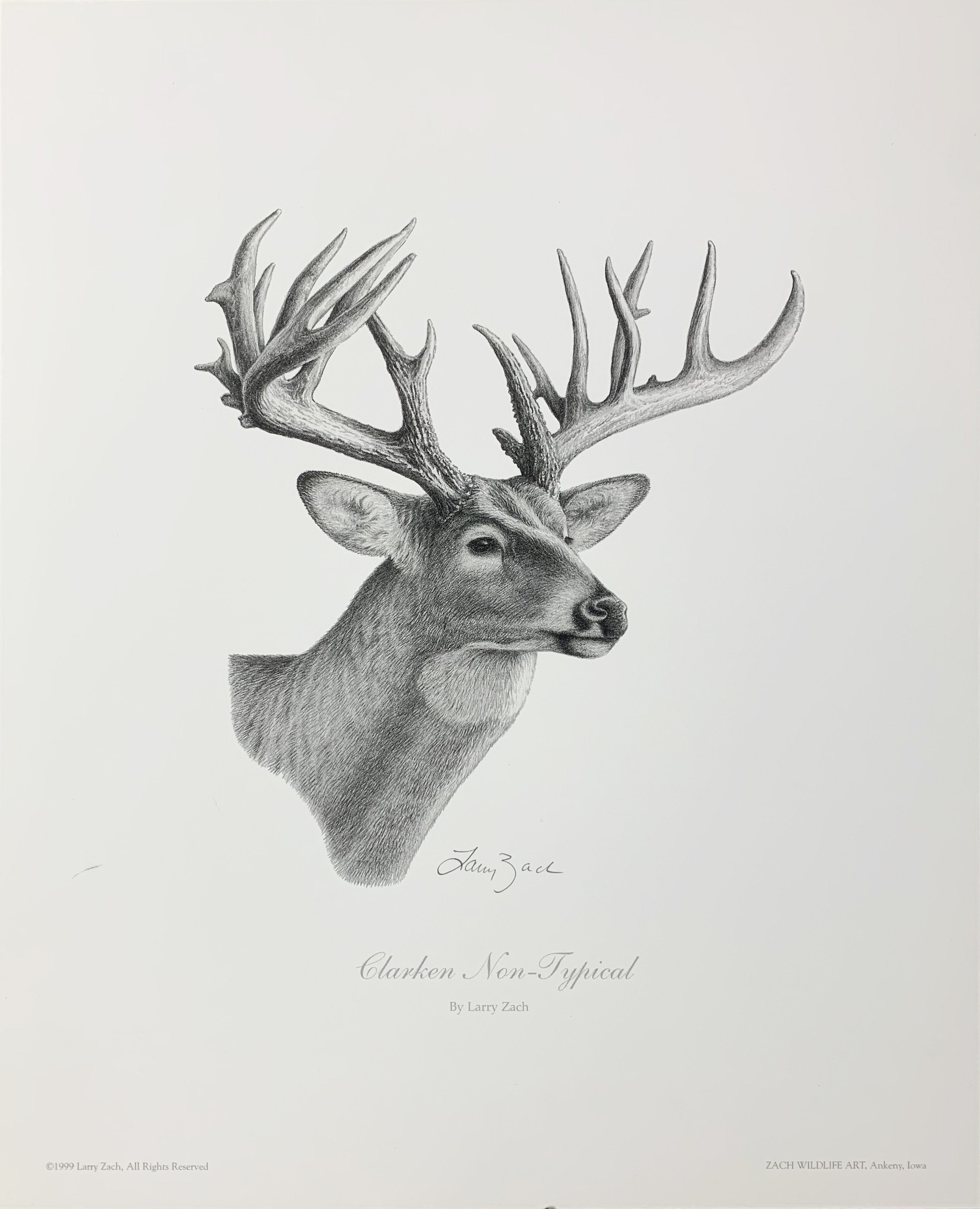 Clarken Non-Typical Pencil Drawing Unframed