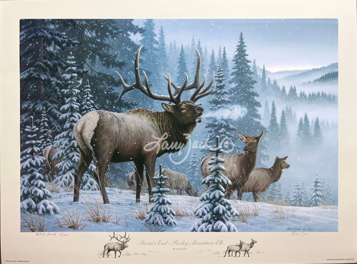Storm's End - Rocky Mountain Elk – Larry Zach Wildlife Art