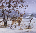 Evening Snowfall-Whitetail