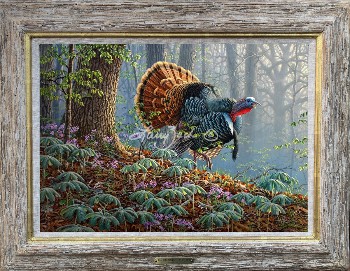 Oak Ridge Monarch – Wild Turkey (Original) – Larry Zach Wildlife Art