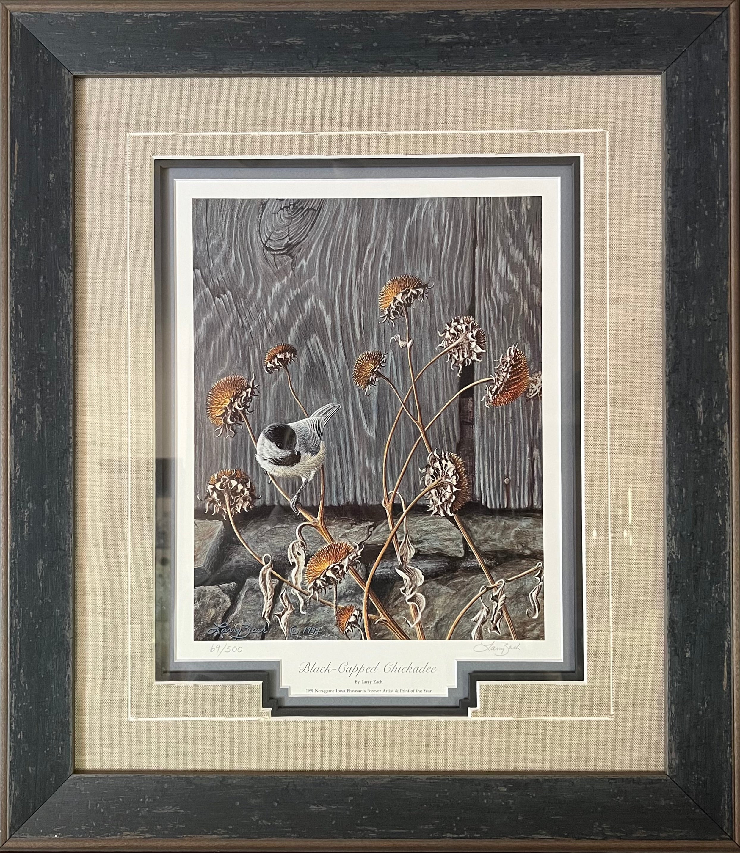 Framed Black-Capped Chickadee