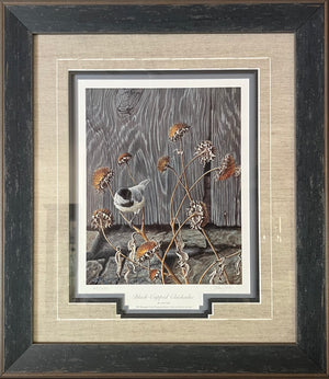 Framed Black-Capped Chickadee
