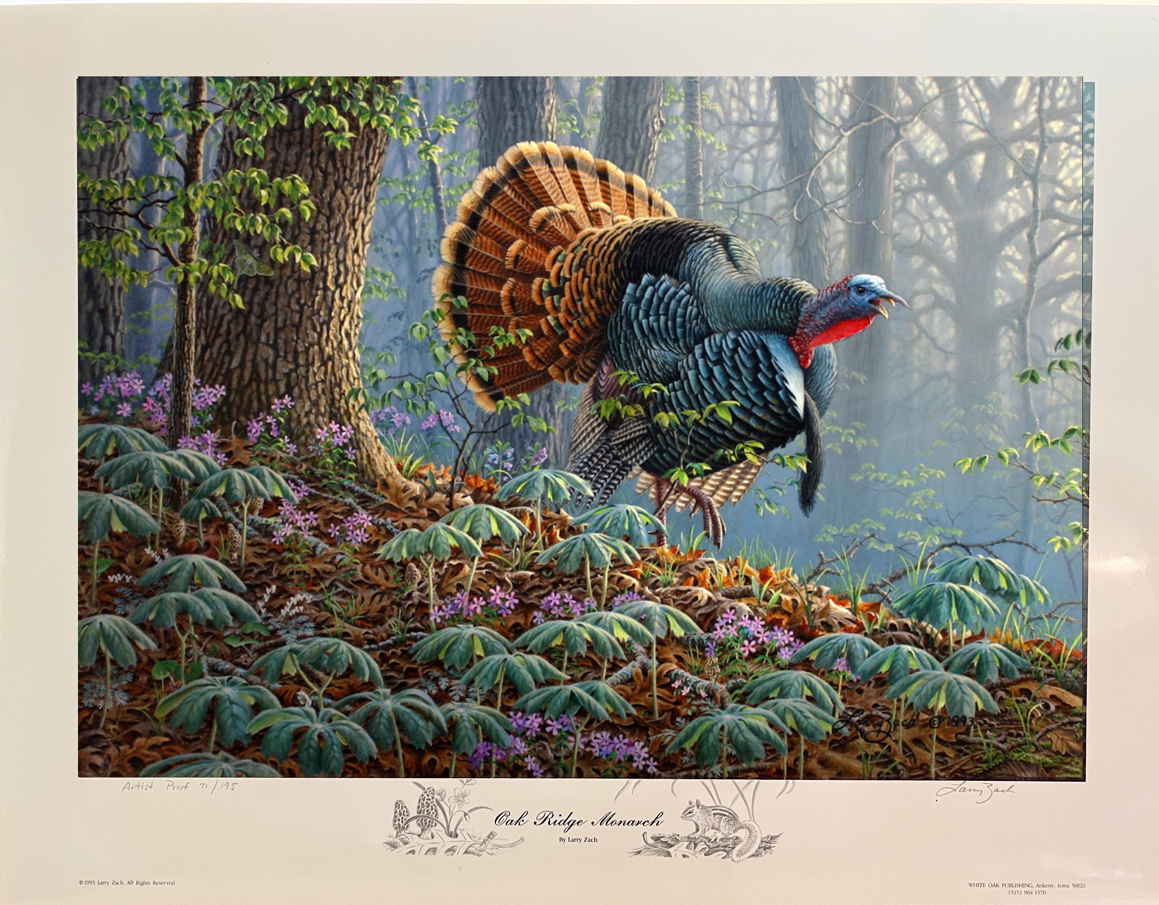 Oak Ridge Monarch - Wild Turkey – Larry Zach Wildlife Art