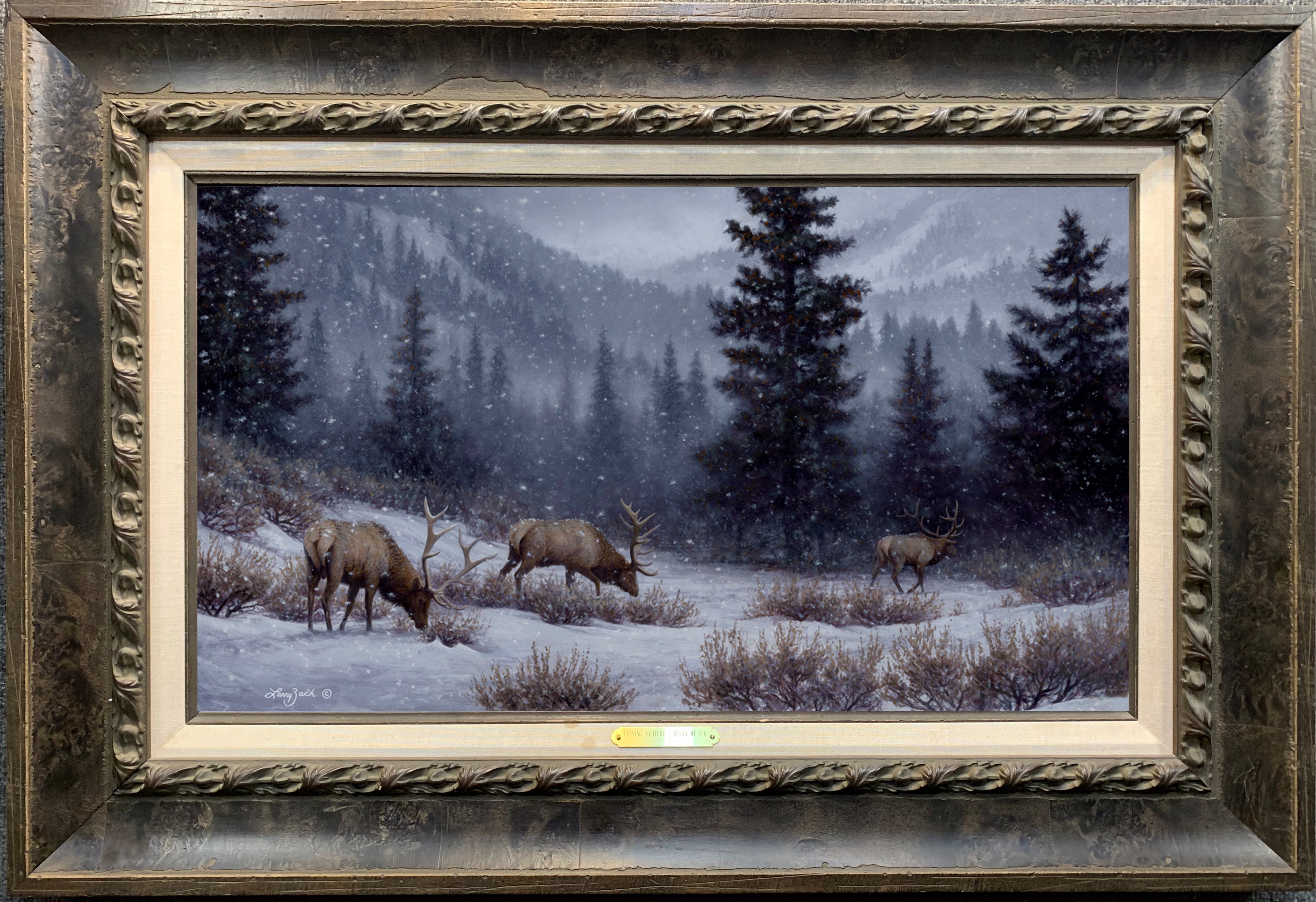 Evening Solitude - Rocky Mountain Elk (Original)