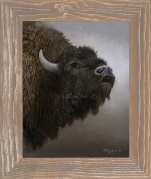 Limited Edition Canvas Framing D1