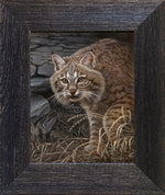 Limited Edition Canvas Framing D2