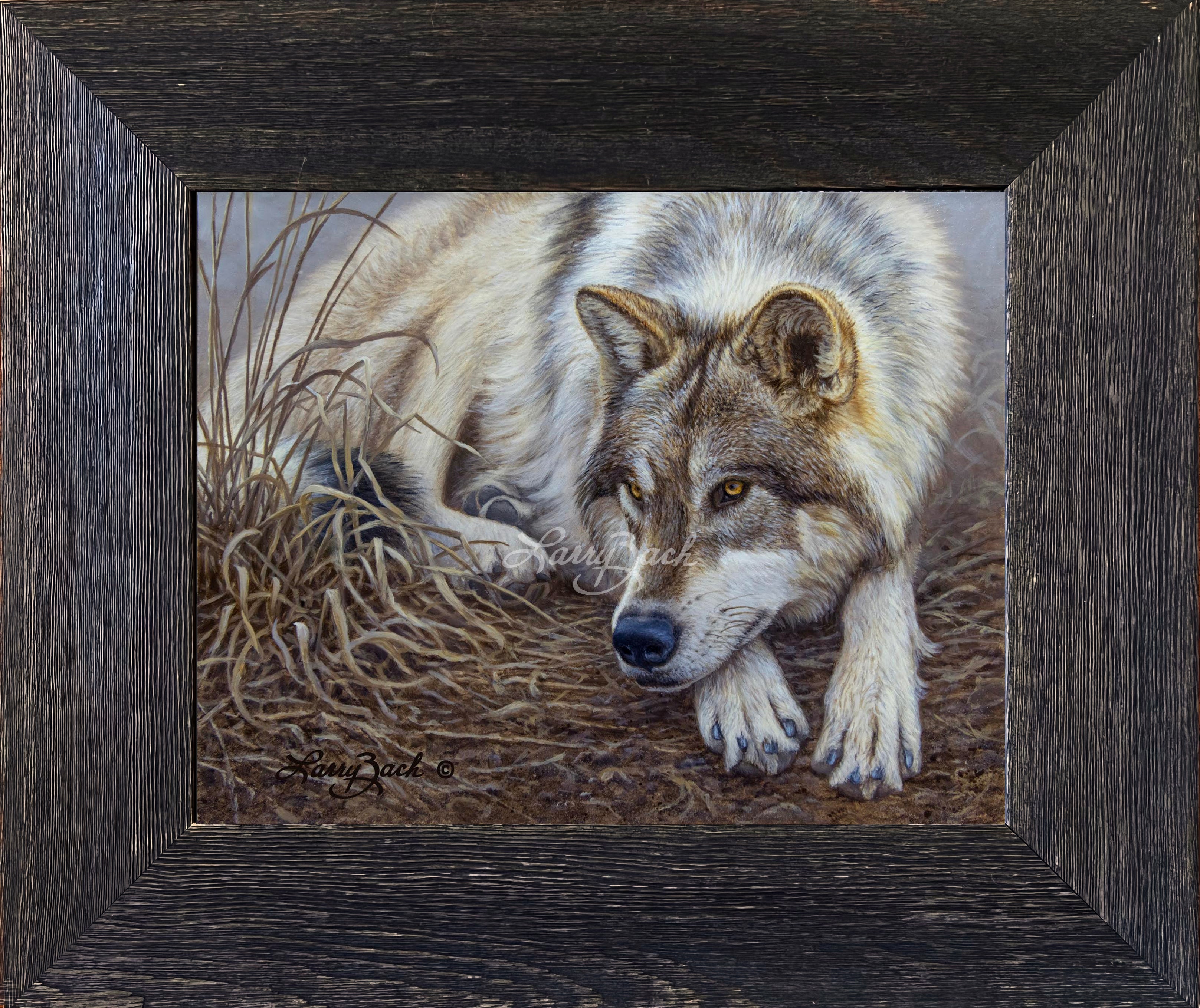 Limited Edition Canvas Framing D2 (3-1/4")