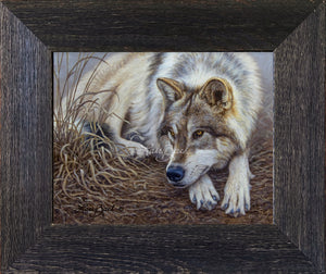Limited Edition Canvas Framing D2 (3-1/4")