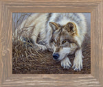 Limited Edition Canvas Framing D1 (3-1/4")