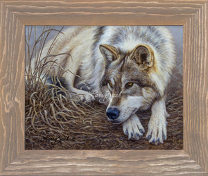 Limited Edition Canvas Framing D1 (3-1/4")