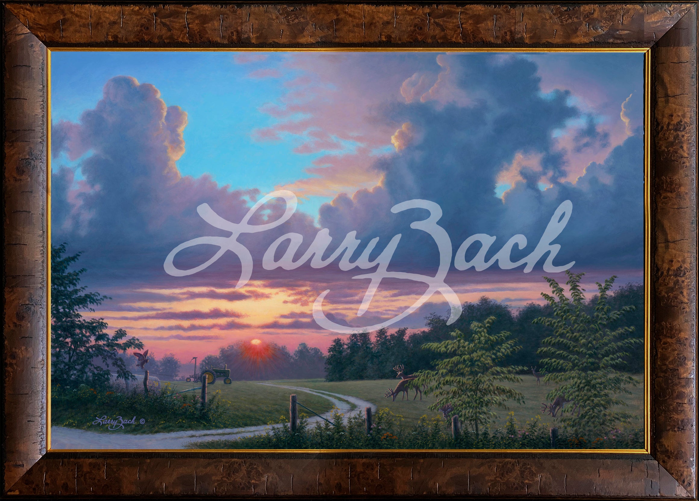 Limited Edition Master/Classic Canvas Framing R1 (2-1/4")