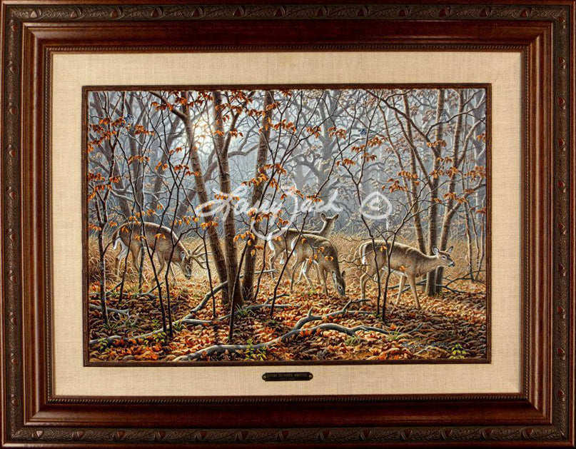 Limited EditionMaster CanvasFraming Y