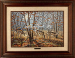 Limited EditionMaster CanvasFraming Y