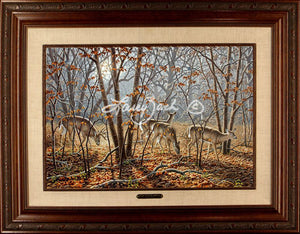Limited EditionMaster CanvasFraming Y