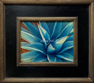 Agave by Larry Zach