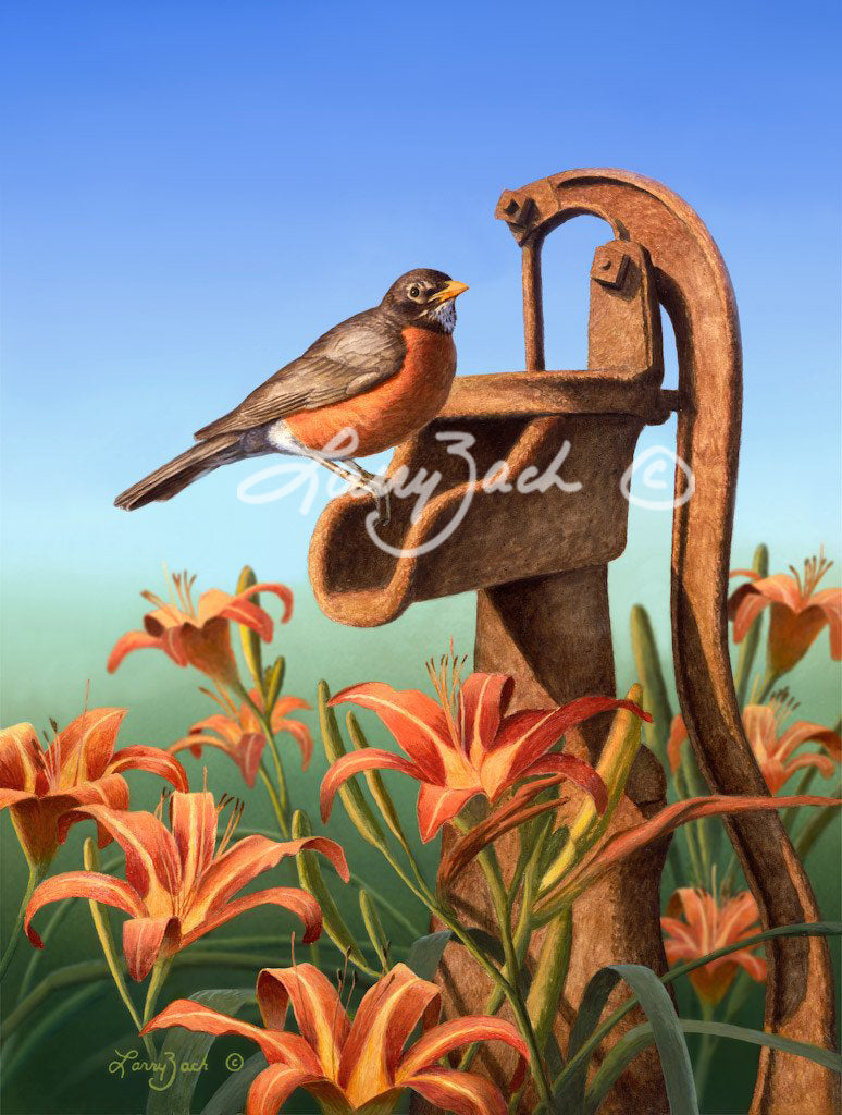American Robin and Daylilies