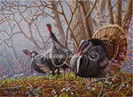 1995 ArkansasTurkey Stamp