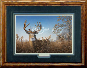 Limited Edition Classic Paper Framing 6A