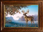 Limited Edition Master Canvas Framing D