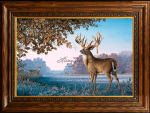 Limited Edition Master Canvas Framing D