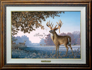 Limited Edition Master Canvas Framing A