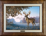 Limited Edition Master Canvas Framing X