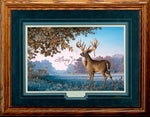 Limited Edition Classic Paper Framing 5A