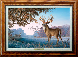 Open Edition Encore/Decorator Canvas Framing 1A