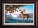 Open Edition Encore/Decorator Canvas Framing 2A