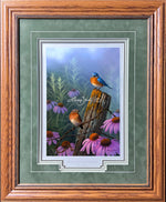 Limited Edition Classic Paper Framing 2D