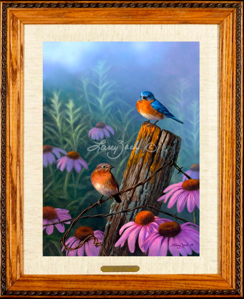 Open Edition Decorator Canvas Framing 3A