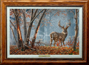 Open Edition Encore/Decorator Canvas Framing 1A