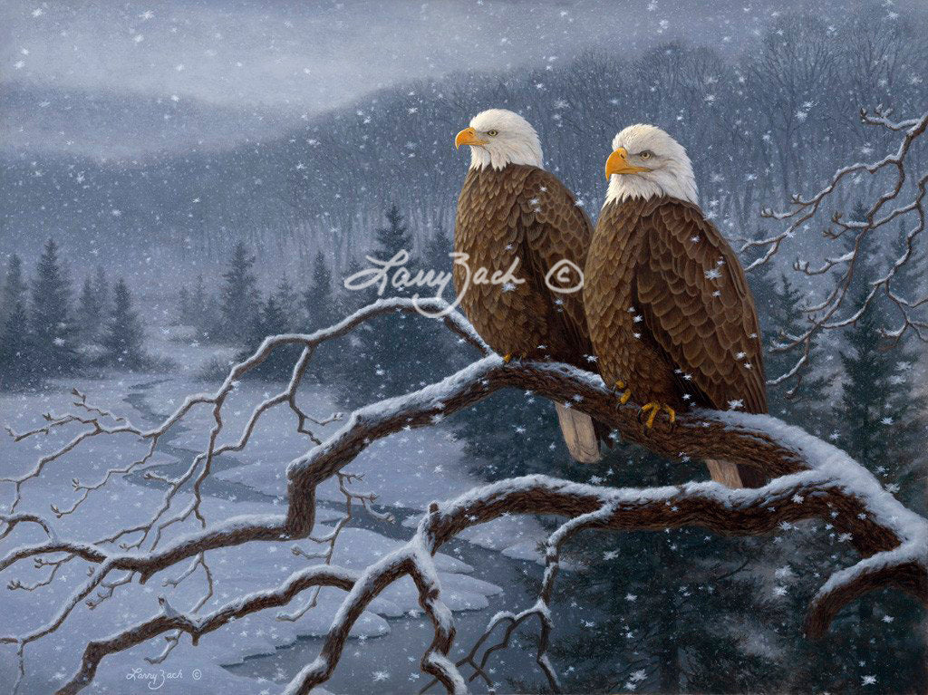 Evening Snowfall - Decorah Eagles by Larry Zach