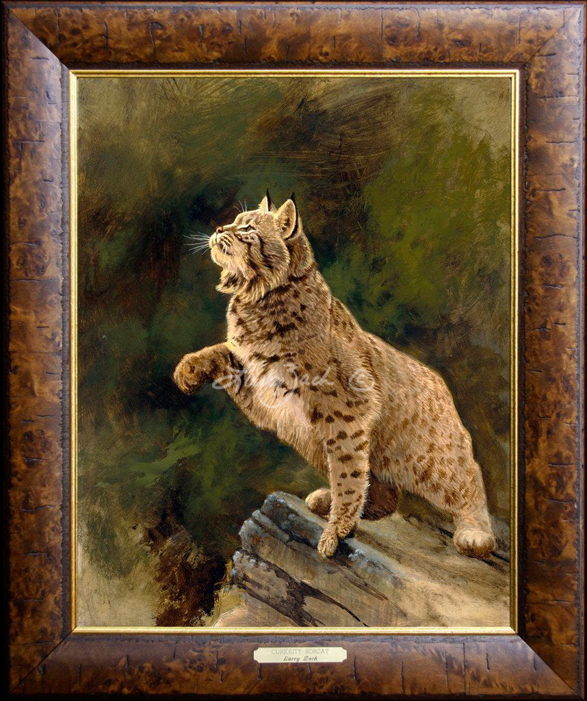 Limited EditionMaster CanvasFraming F