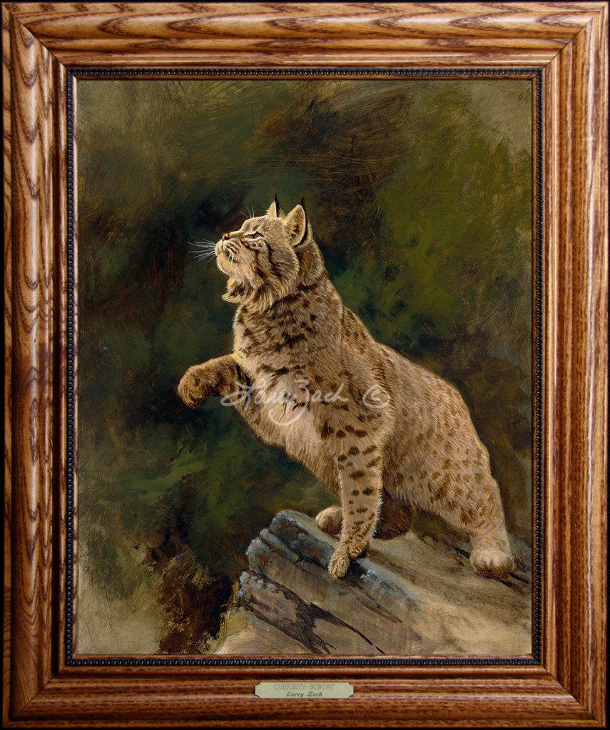 Limited EditionMaster CanvasFraming E