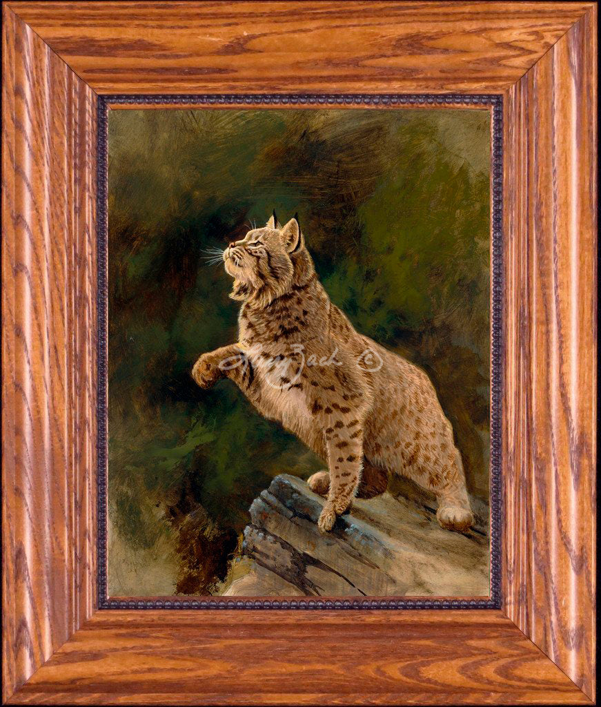 Open EditionDecorator Canvas, Framing 1A