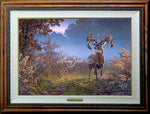 Limited EditionMaster CanvasFraming A