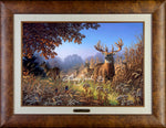 Limited Edition Master Canvas Framing X