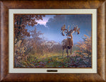 Limited EditionMaster CanvasFraming X