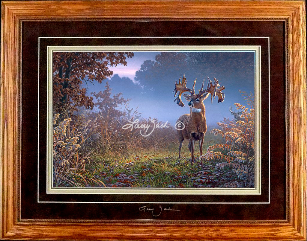 Limited EditionClassic PaperFraming 11A