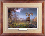 Limited EditionClassic PaperFraming 38A