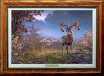 Open Edition Encore/Decorator Canvas Framing 1A